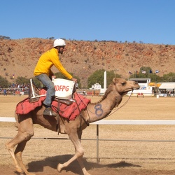 Camel Cup Alice Springs 2007