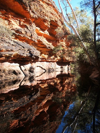 Pool @ Kings Canyon