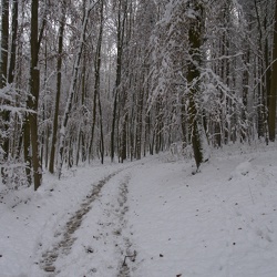 First Snow 2010